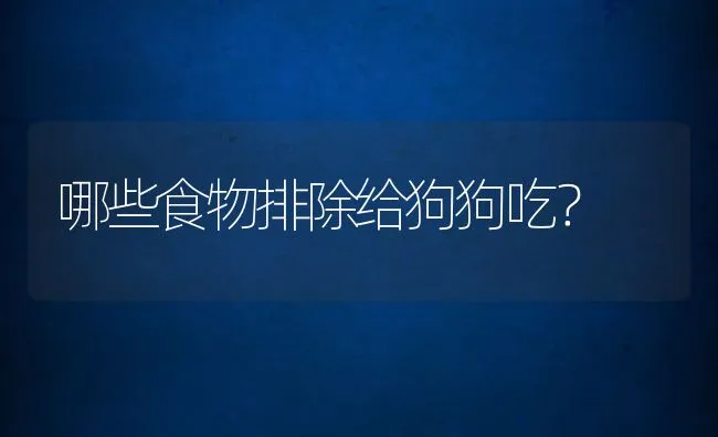 哪些食物排除给狗狗吃？ | 宠物猫