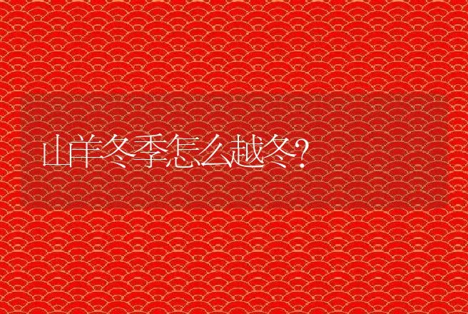 山羊冬季怎么越冬？ | 家畜养殖