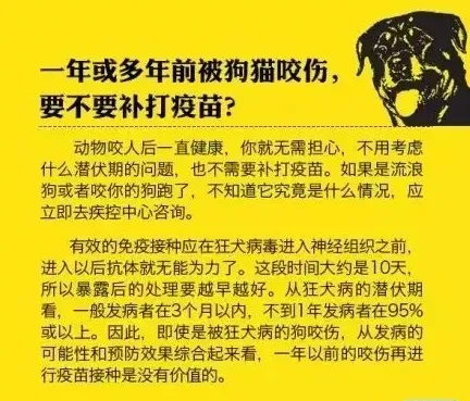 几张图教你了解狂犬病 | 宠物新闻资讯