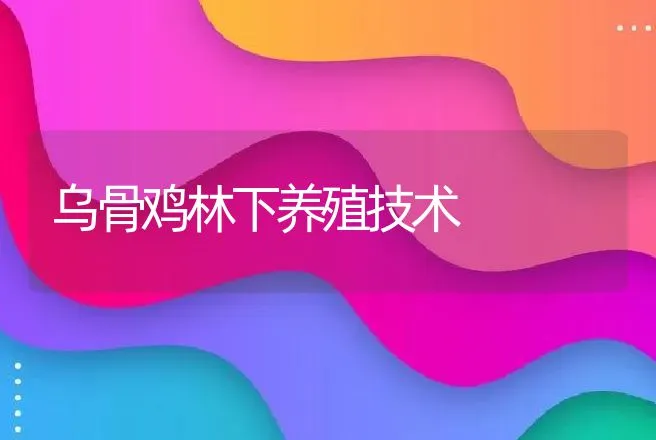 乌骨鸡林下养殖技术 | 动物养殖