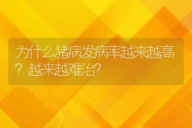 为什么猪病发病率越来越高？越来越难治？ | 兽医知识大全