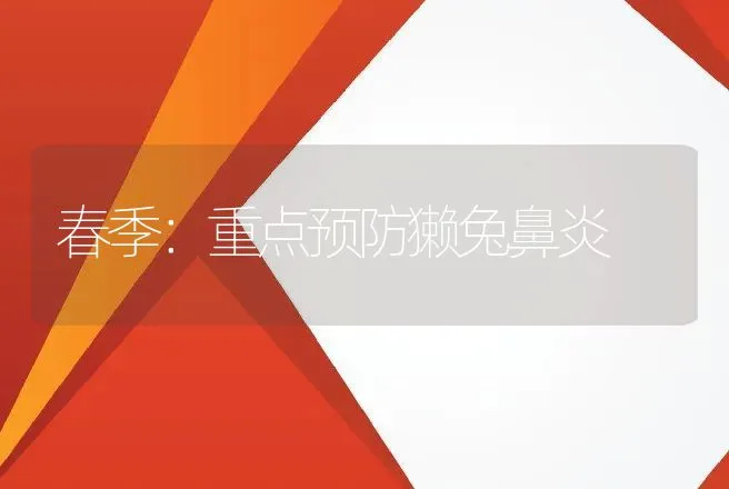 笼子不合理 兔子出问题 | 动物养殖