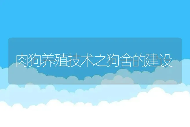 肉羊养殖应注意什么？肉羊养殖技术要点 | 家畜养殖