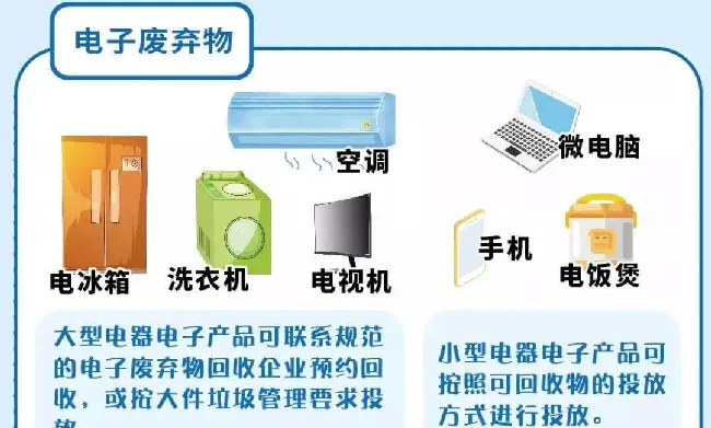 上海将正式实施《上海市生活垃圾管理条例》,铲屎官该如何给宠物垃圾分类? | 宠物政策法规