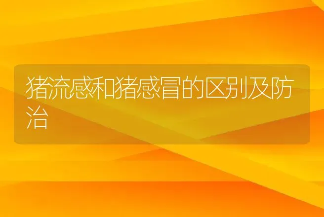 猪流感和猪感冒的区别及防治 | 动物养殖