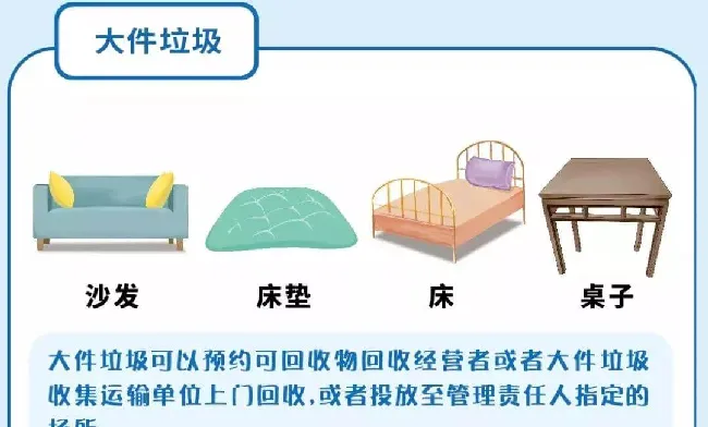 上海将正式实施《上海市生活垃圾管理条例》,铲屎官该如何给宠物垃圾分类? | 宠物政策法规