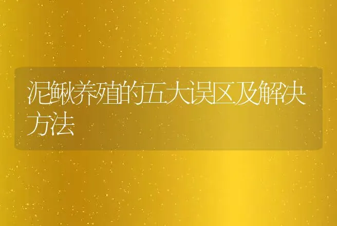 泥鳅养殖的五大误区及解决方法 | 特种养殖