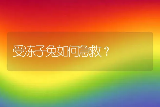 受冻子兔如何急救？ | 动物养殖