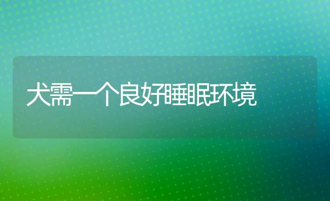 犬需一个良好睡眠环境 | 宠物病虫害