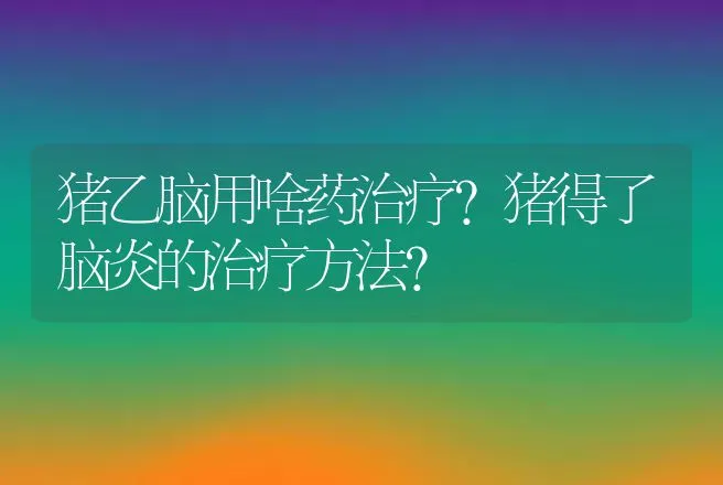 猪乙脑用啥药治疗？猪得了脑炎的治疗方法？ | 兽医知识大全