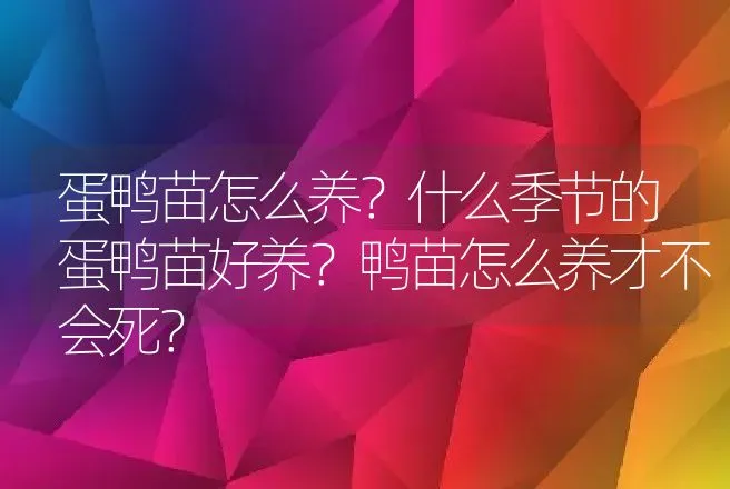 蛋鸭苗怎么养？什么季节的蛋鸭苗好养？鸭苗怎么养才不会死？ | 家禽养殖