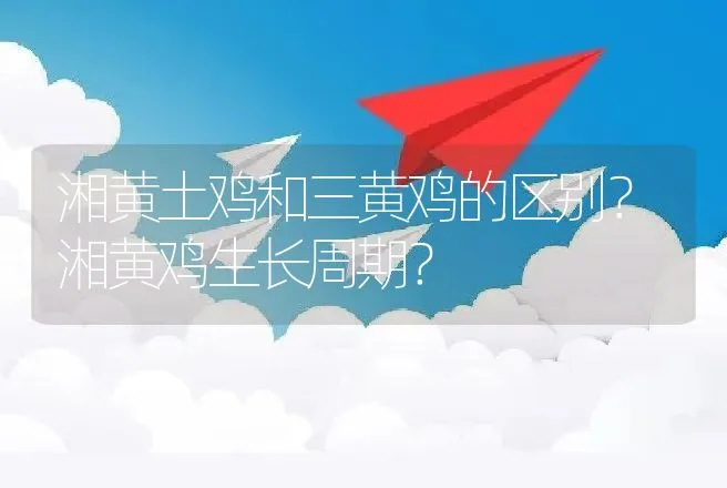 湘黄土鸡和三黄鸡的区别？湘黄鸡生长周期？ | 动物养殖