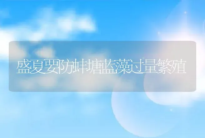 盛夏要防蚌塘蓝藻过量繁殖 | 动物养殖