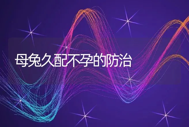 母兔久配不孕的防治 | 动物养殖