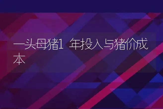 一头母猪1年投入与猪价成本 | 家畜养殖