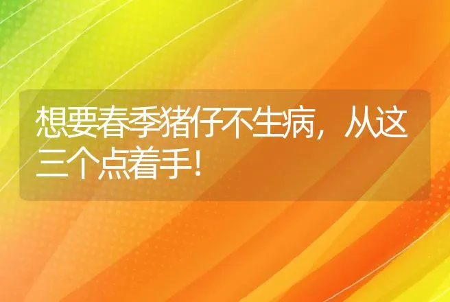 想要春季猪仔不生病，从这三个点着手！ | 家畜养殖