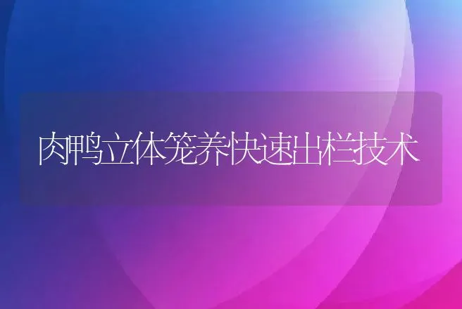 肉鸭立体笼养快速出栏技术 | 动物养殖