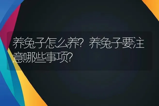 养兔子怎么养？养兔子要注意哪些事项？ | 特种养殖