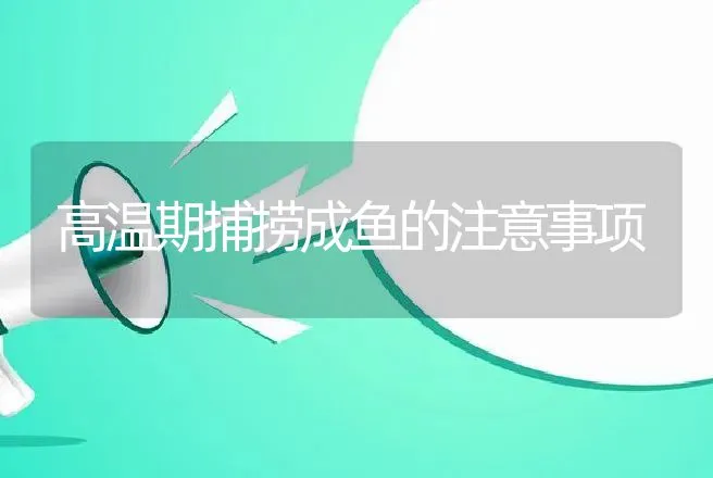 高温期捕捞成鱼的注意事项 | 渔业捕捞