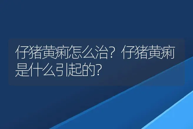 仔猪黄痢怎么治？仔猪黄痢是什么引起的？ | 兽医知识大全