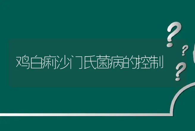 鸡白痢沙门氏菌病的控制 | 兽医知识大全