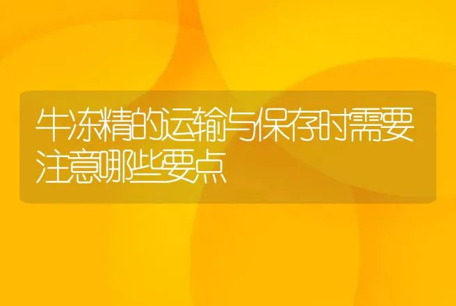 牛冻精的运输与保存时需要注意哪些要点 | 家畜养殖