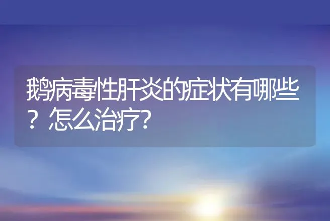 鹅病毒性肝炎的症状有哪些？怎么治疗？ | 兽医知识大全