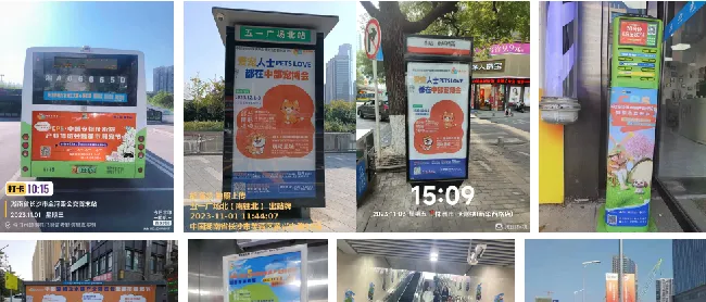 CPS·2024中部（长沙）宠物及水族产业博览会暨都市潮宠节邀请函 | 宠物百科知识