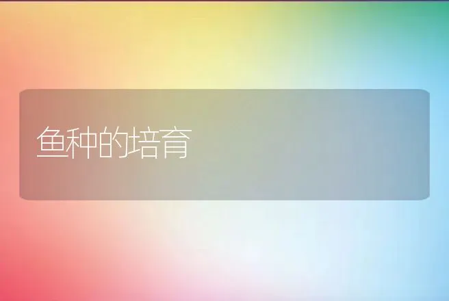 鱼种的培育 | 动物养殖