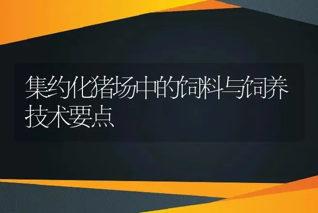 集约化猪场中的饲料与饲养技术要点 | 动物养殖