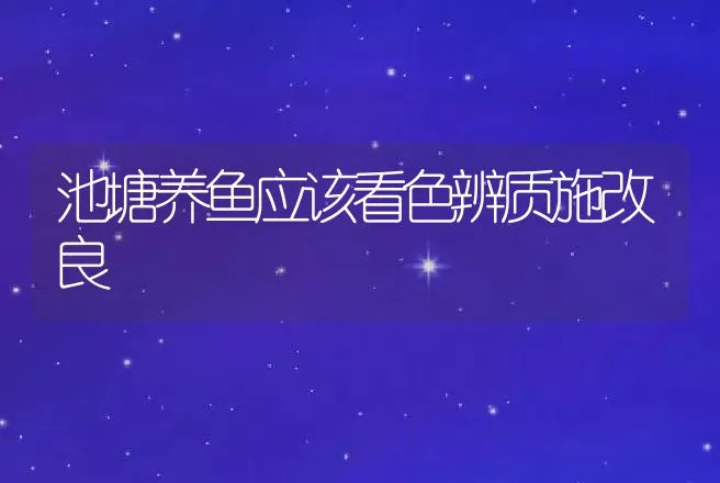 池塘养鱼应该看色辨质施改良 | 动物养殖