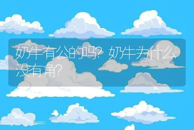 奶牛有公的吗？奶牛为什么没有角？ | 动物养殖