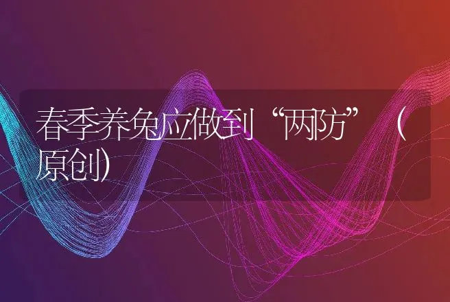 春季养兔应做到“两防”（原创） | 动物养殖