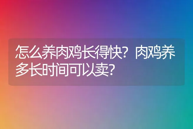 怎么养肉鸡长得快？肉鸡养多长时间可以卖？ | 家禽养殖