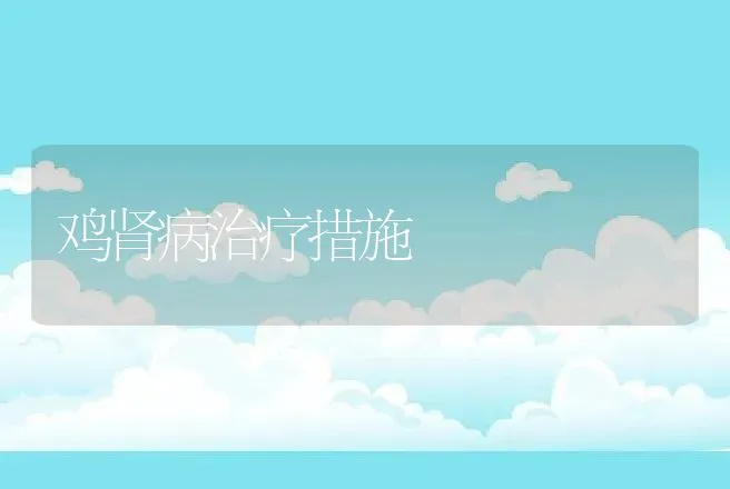 鸡肾病治疗措施 | 动物养殖