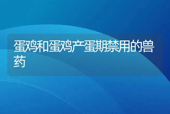 蛋鸡和蛋鸡产蛋期禁用的兽药 | 动物养殖