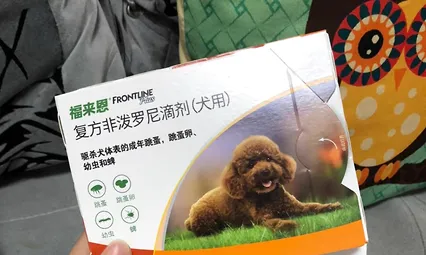 狗狗身上有蜱虫怎么办？教你一个快速有效的办法 | 宠物狗病虫害防治