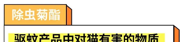 驱蚊产品会害死猫猫?真相是这样的~ | 宠物猫病虫害防治