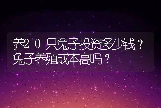 养20只兔子投资多少钱？兔子养殖成本高吗？ | 养殖致富