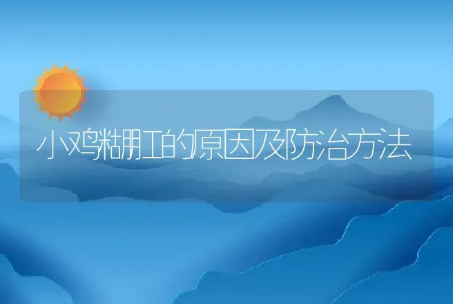 小鸡糊肛的原因及防治方法 | 兽医知识大全