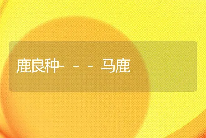 鸡黄曲霉毒素中毒 | 动物养殖