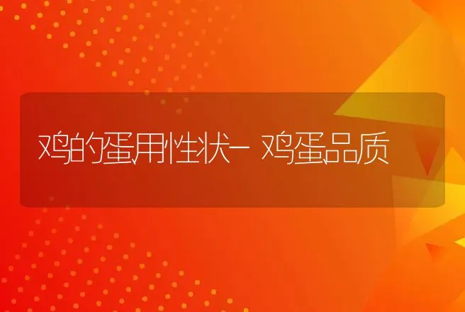 鸡的蛋用性状-鸡蛋品质 | 动物养殖