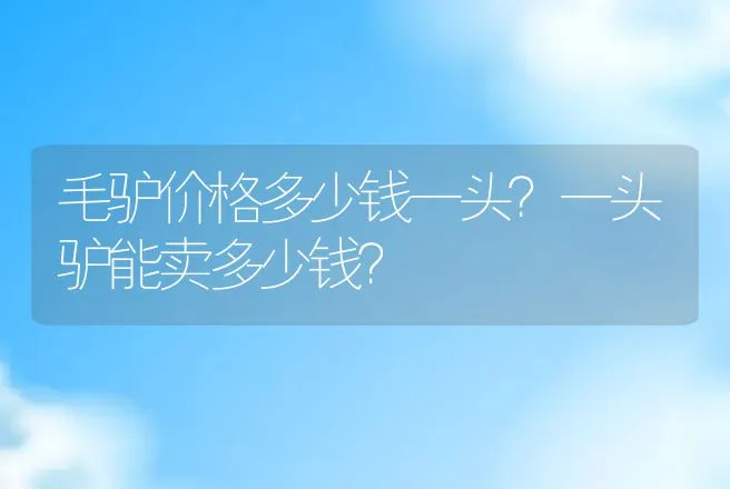 毛驴价格多少钱一头？一头驴能卖多少钱？ | 动物养殖