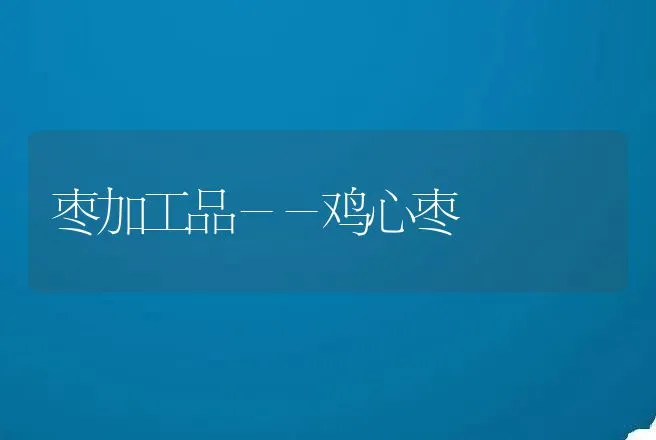 枣加工品－－鸡心枣 | 动物养殖