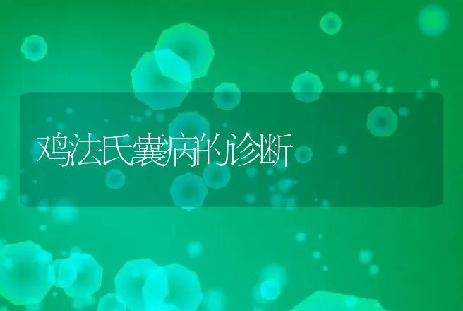 鸡法氏囊病的诊断 | 动物养殖