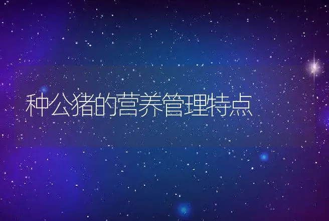 种公猪的营养管理特点 | 动物养殖