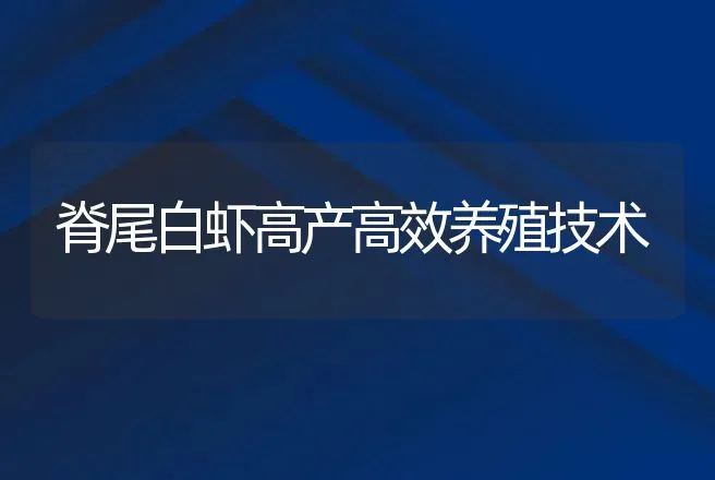 脊尾白虾高产高效养殖技术 | 动物养殖