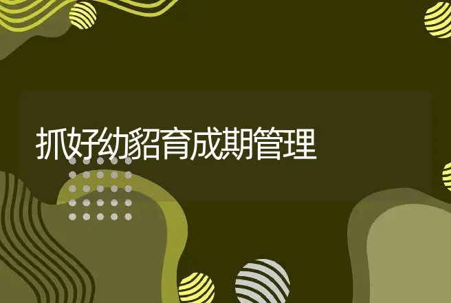 抓好幼貂育成期管理 | 动物养殖