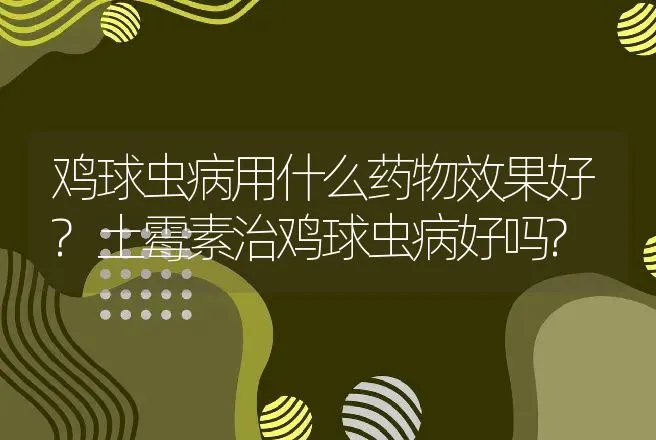 鸡球虫病用什么药物效果好?土霉素治鸡球虫病好吗? | 兽医知识大全