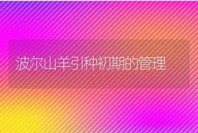 波尔山羊引种初期的管理 | 动物养殖